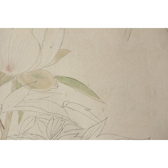 土田麦僊 素描画 額装一対　Z640 