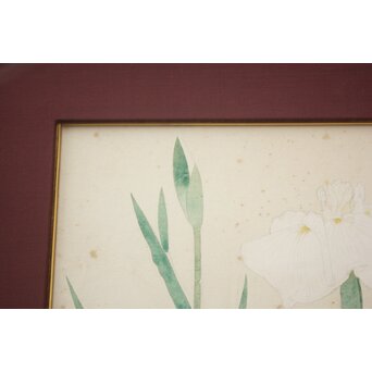 土田麦僊 素描画 額装一対　Z640 