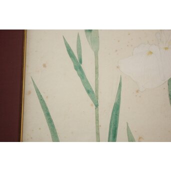 土田麦僊 素描画 額装一対　Z640 