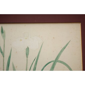 土田麦僊 素描画 額装一対　Z640 