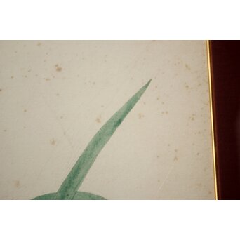 土田麦僊 素描画 額装一対　Z640 