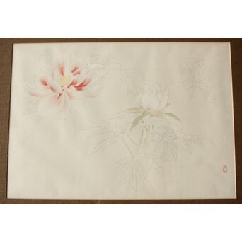 土田麦僊 素描画 額装一対　Z640 