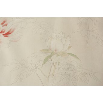 土田麦僊 素描画 額装一対　Z640 