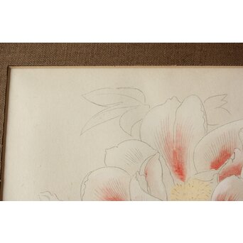 土田麦僊 素描画 額装一対　Z640 