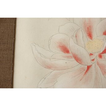 土田麦僊 素描画 額装一対　Z640 