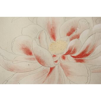 土田麦僊 素描画 額装一対　Z640 