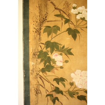 平時式 南蘋派か 猫と牡丹 絹本掛軸　Z657 