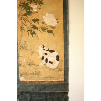 平時式 南蘋派か 猫と牡丹 絹本掛軸　Z657 
