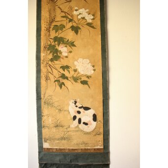 平時式 南蘋派か 猫と牡丹 絹本掛軸　Z657 