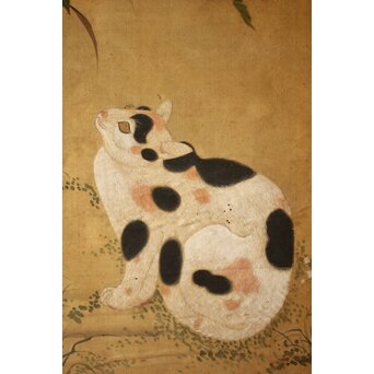 平時式 南蘋派か 猫と牡丹 絹本掛軸　Z657 