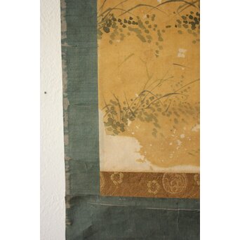 平時式 南蘋派か 猫と牡丹 絹本掛軸　Z657 