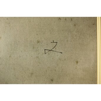 堀文子 花菖蒲 日本画額装　Z660 