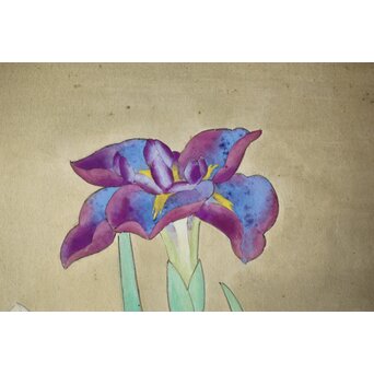 堀文子 花菖蒲 日本画額装　Z660 
