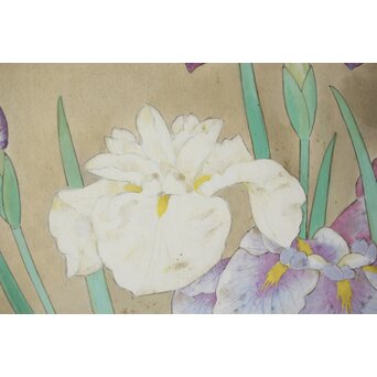 堀文子 花菖蒲 日本画額装　Z660 