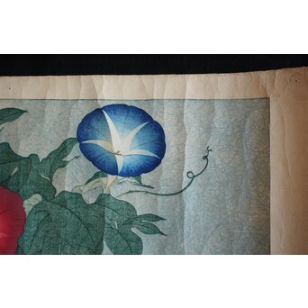 犬塚苔翠(たいすい) 「朝顔」酒井川口合版　Z661 