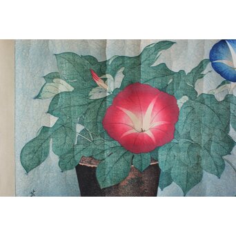 犬塚苔翠(たいすい) 「朝顔」酒井川口合版　Z661 