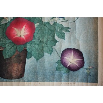 犬塚苔翠(たいすい) 「朝顔」酒井川口合版　Z661 