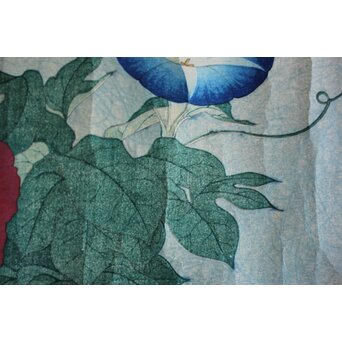 犬塚苔翠(たいすい) 「朝顔」酒井川口合版　Z661 