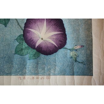 犬塚苔翠(たいすい) 「朝顔」酒井川口合版　Z661 