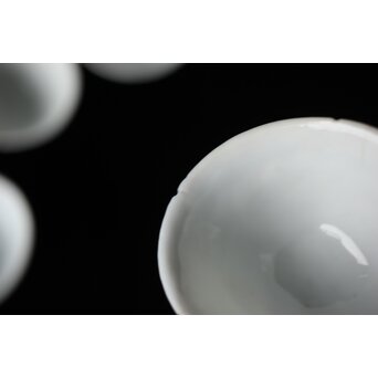 清 徳化窯白磁 10客　P560 