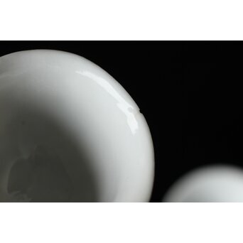 清 徳化窯白磁 10客　P560 