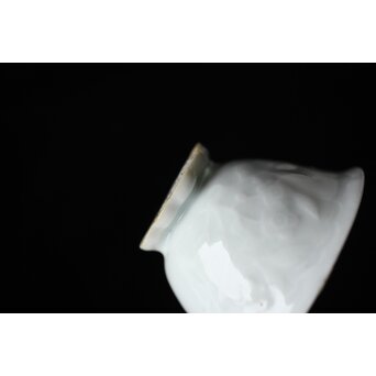 清 徳化窯白磁 10客　P560 