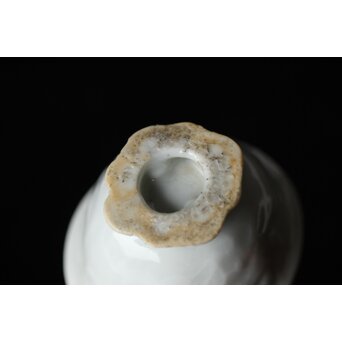 清 徳化窯白磁 10客　P560 