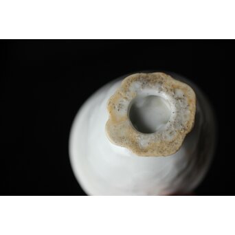 清 徳化窯白磁 10客　P560 