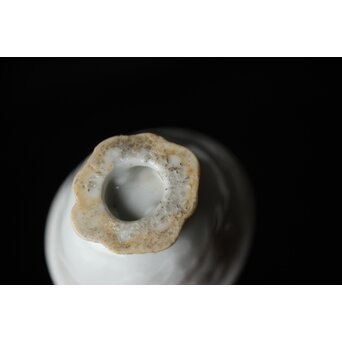 清 徳化窯白磁 10客　P560 