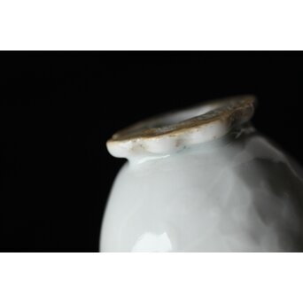 清 徳化窯白磁 10客　P560 