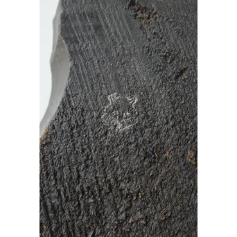 堀井民芸 熊木彫　X601 