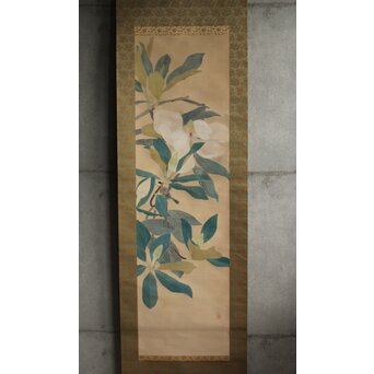 秋野不矩 泰山木 絹本軸装 共箱　Z696