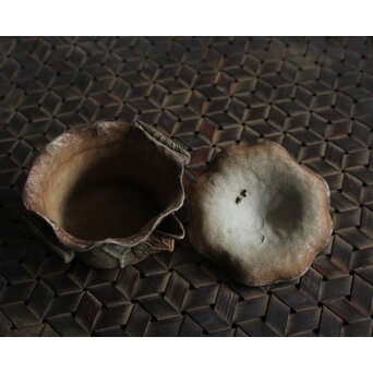 萬古 蛙と蓮型の急須 宝瓶　P581 