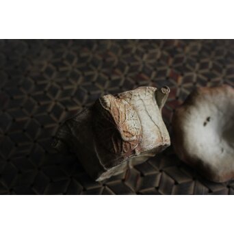 萬古 蛙と蓮型の急須 宝瓶　P581 