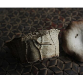 萬古 蛙と蓮型の急須 宝瓶　P581 