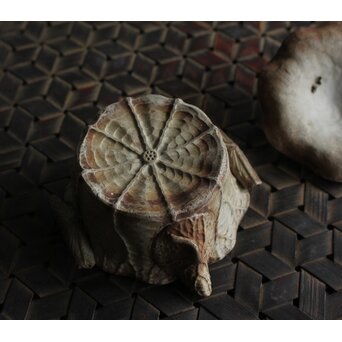 萬古 蛙と蓮型の急須 宝瓶　P581 