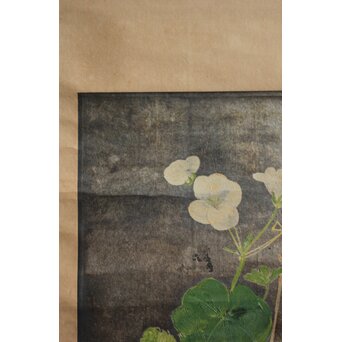 川村清雄 静物 油彩 掛軸　Z710 