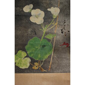 川村清雄 静物 油彩 掛軸　Z710 