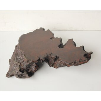 自然木 卓　X629