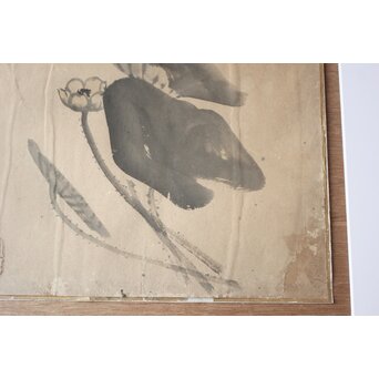 竹内栖鳳 水墨画「蓮2」額装　Z781 