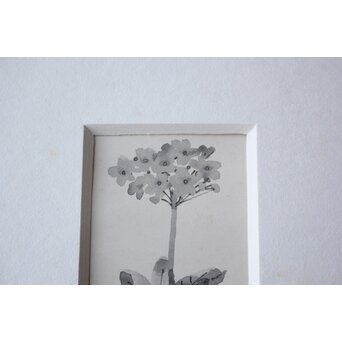 堀文子 墨絵『野花』 Z790 