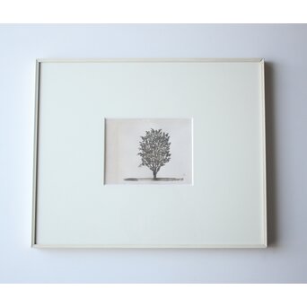 堀文子 墨絵『木』 Z791