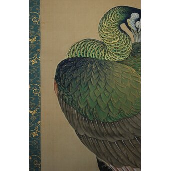 華堂筆 孔雀之図 大幅 絹本軸装 共箱　Z802 