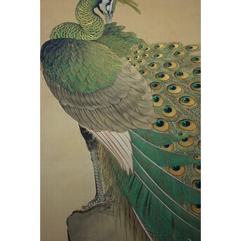 華堂筆 孔雀之図 大幅 絹本軸装 共箱　Z802 