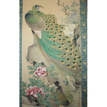 華堂筆 孔雀之図 大幅 絹本軸装 共箱　Z802 