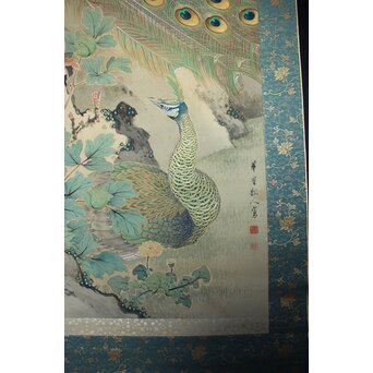 華堂筆 孔雀之図 大幅 絹本軸装 共箱　Z802 