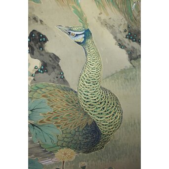 華堂筆 孔雀之図 大幅 絹本軸装 共箱　Z802 