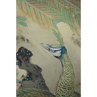 華堂筆 孔雀之図 大幅 絹本軸装 共箱　Z802 