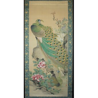 華堂筆 孔雀之図 大幅 絹本軸装 共箱　Z802 