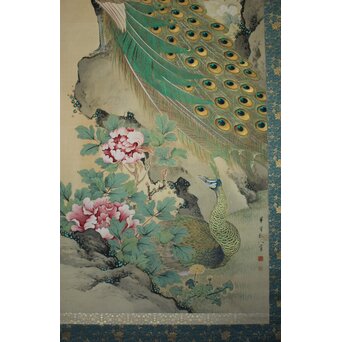 華堂筆 孔雀之図 大幅 絹本軸装 共箱　Z802 